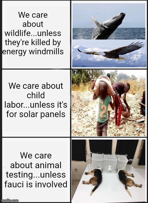 Selective outrage of liberalism | We care about wildlife...unless they're killed by energy windmills; We care about child labor...unless it's for solar panels; We care about animal testing...unless fauci is involved | image tagged in memes,panik kalm panik | made w/ Imgflip meme maker