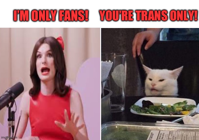 Angry lady cat | YOU’RE TRANS ONLY! I’M ONLY FANS! | image tagged in angry lady cat,transgender,maga,republicans,donald trump | made w/ Imgflip meme maker