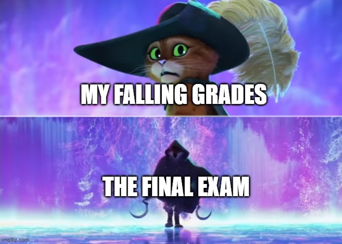 The final exam just sneaks up on you | MY FALLING GRADES; THE FINAL EXAM | image tagged in puss and boots scared | made w/ Imgflip meme maker