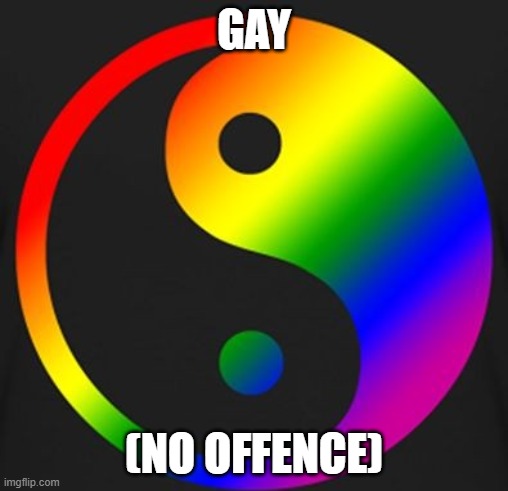 Ying and yang | GAY (NO OFFENCE) | image tagged in ying and yang | made w/ Imgflip meme maker