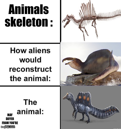 How aliens would reconstruct spinosaures | Animals skeleton :; MAY DIFFER FROM YOU'RE OPINION | image tagged in how aliens would reconstruct the animal | made w/ Imgflip meme maker