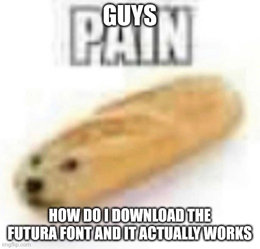 PAIN | GUYS; HOW DO I DOWNLOAD THE FUTURA FONT AND IT ACTUALLY WORKS | image tagged in pain | made w/ Imgflip meme maker