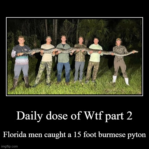 Daily dose of WTF Part 2 | Daily dose of Wtf part 2 | Florida men caught a 15 foot burmese pyton | image tagged in funny,demotivationals,wtf | made w/ Imgflip demotivational maker