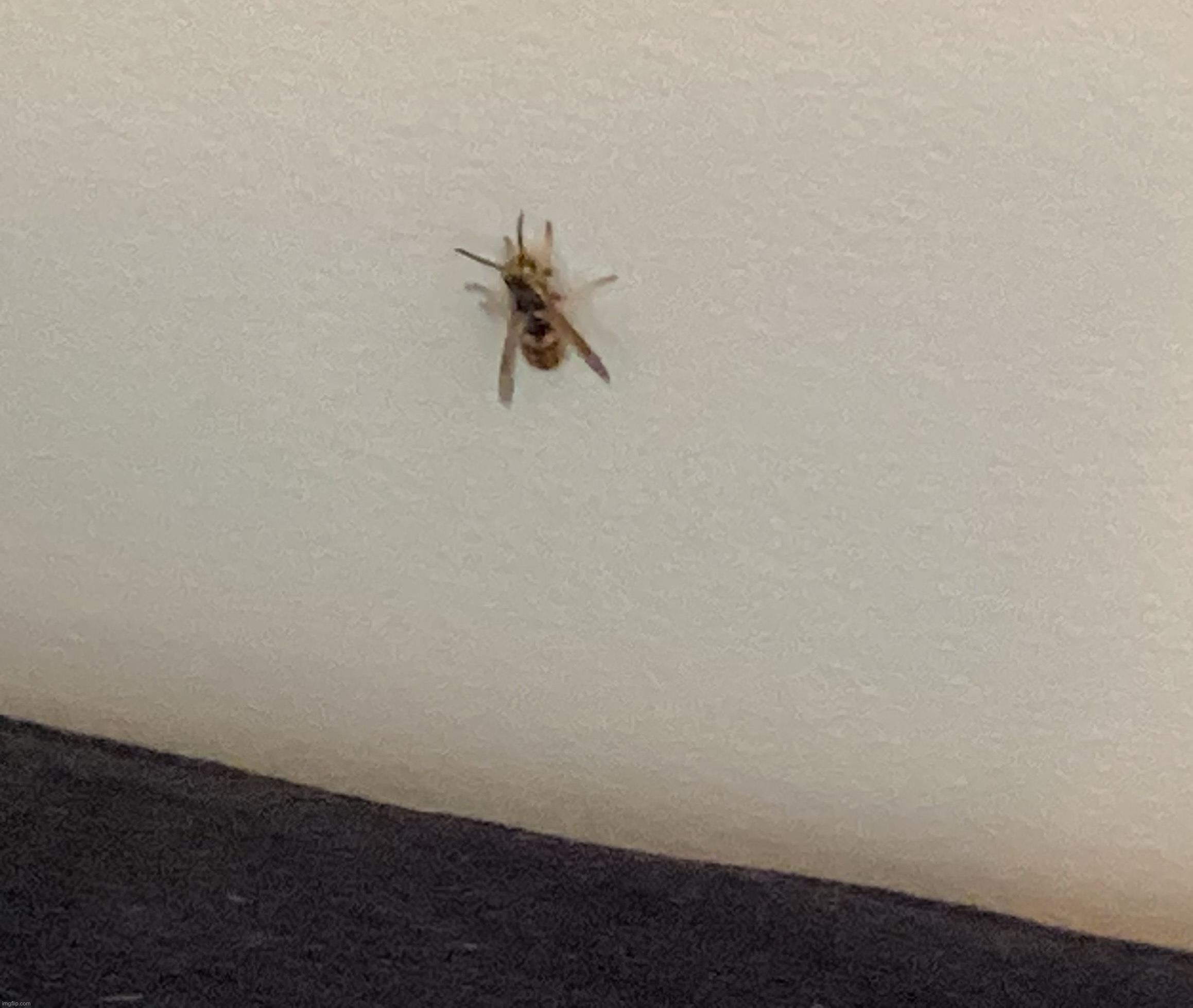 My new friend :D | made w/ Imgflip meme maker