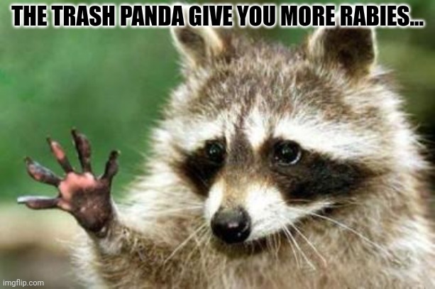 Hello raccoon | THE TRASH PANDA GIVE YOU MORE RABIES... | image tagged in hello raccoon | made w/ Imgflip meme maker