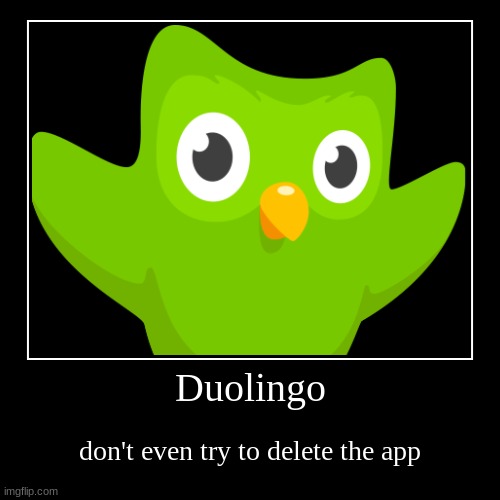 Duolingo | don't even try to delete the app | image tagged in funny,demotivationals | made w/ Imgflip demotivational maker