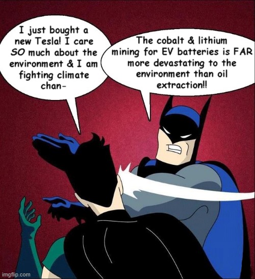 Batman Slapping Robin | image tagged in batman slapping robin,my parents are dead,climatechangehoax,ev,tesla,memes | made w/ Imgflip meme maker