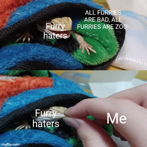 SHUT- | ALL FURRIES ARE BAD, ALL FURRIES ARE ZOO-; Furry haters; Me; Furry haters | image tagged in hawthorn's mouth being shut | made w/ Imgflip meme maker