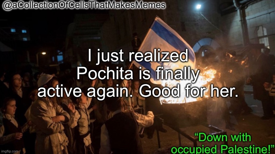 Finally :D | I just realized Pochita is finally active again. Good for her. | image tagged in acollectionofcellsthatmakesmemes announcement template | made w/ Imgflip meme maker