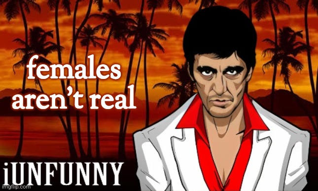 iUnFunny's Scarface template | females aren't real | image tagged in iunfunny's scarface template | made w/ Imgflip meme maker