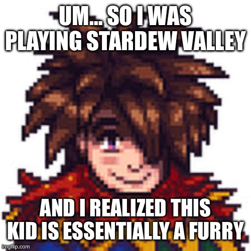 UM… SO I WAS PLAYING STARDEW VALLEY; AND I REALIZED THIS KID IS ESSENTIALLY A FURRY | image tagged in furry,stardew valley | made w/ Imgflip meme maker