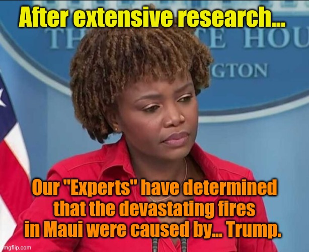 Karine Jean-Pierre | After extensive research... Our "Experts" have determined that the devastating fires in Maui were caused by... Trump. | image tagged in karine jean-pierre | made w/ Imgflip meme maker