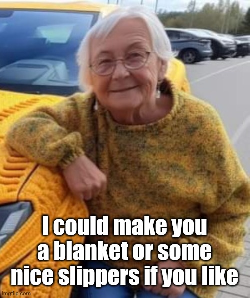 I could make you a blanket or some nice slippers if you like | made w/ Imgflip meme maker
