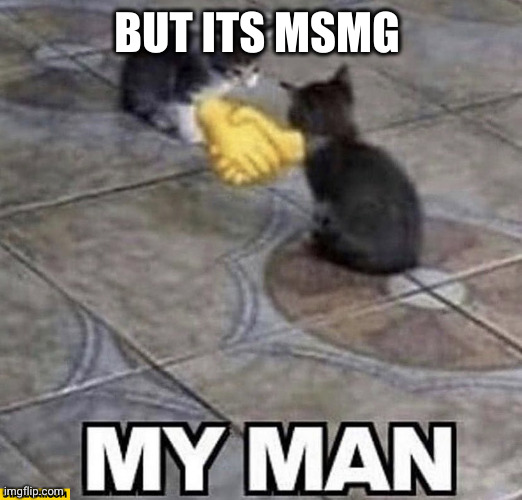Cats shaking hands | BUT ITS MSMG | image tagged in cats shaking hands | made w/ Imgflip meme maker