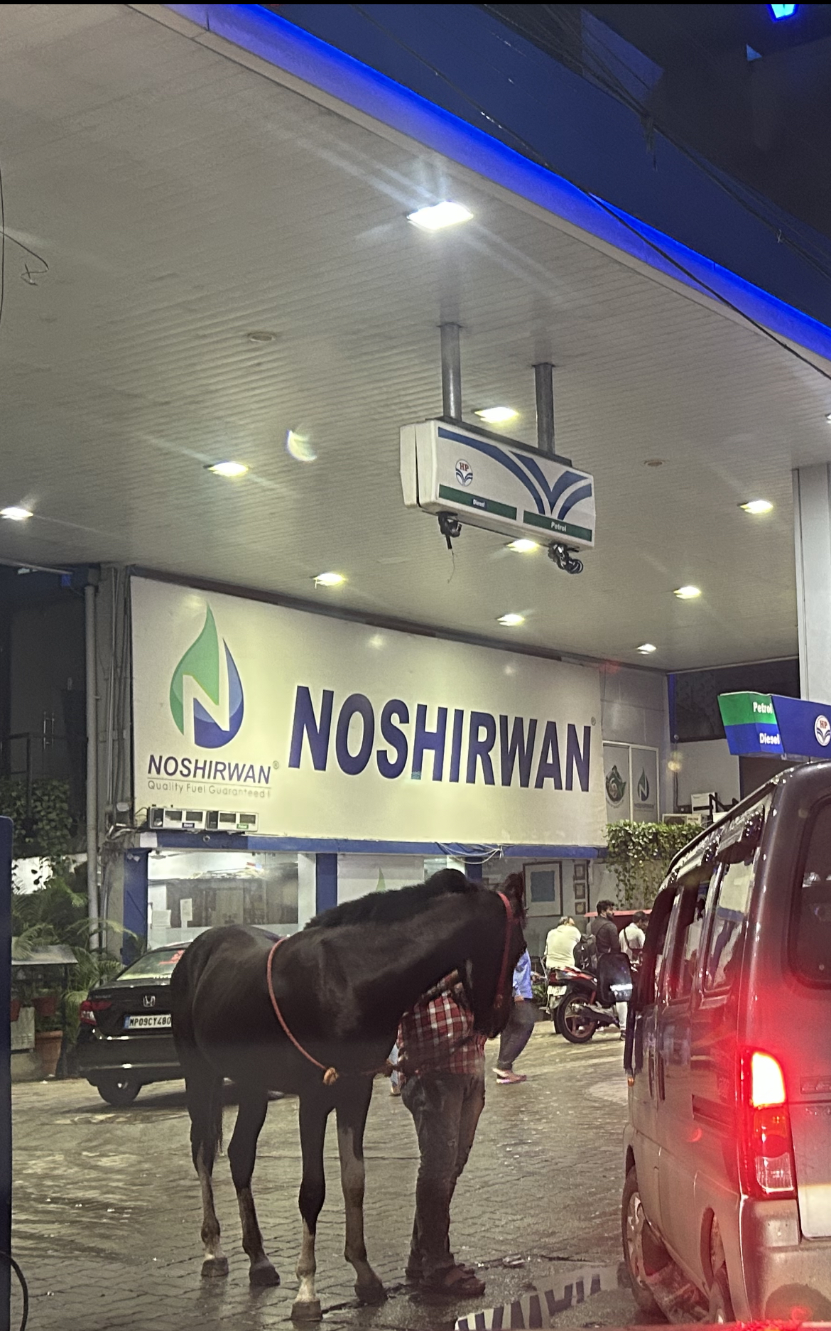 High Quality Horse in gas station Blank Meme Template