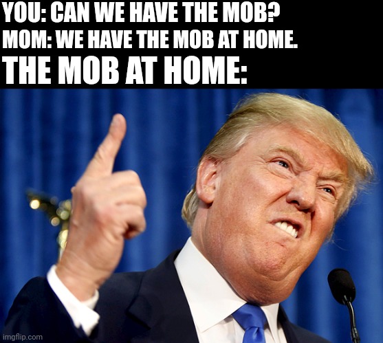 The Mob at home | YOU: CAN WE HAVE THE MOB? MOM: WE HAVE THE MOB AT HOME. THE MOB AT HOME: | image tagged in donald trump | made w/ Imgflip meme maker