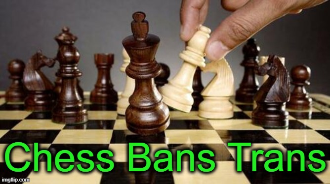 The International Chess Federation completely bans trans-identifying biological men from competing in women’s competitions. | Chess Bans Trans | image tagged in politics,transgender,trans,chess,biological men,difference between men and women | made w/ Imgflip meme maker