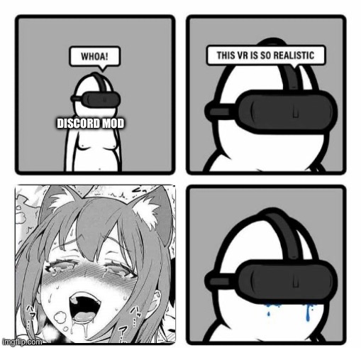 Discord mod on Virtual reality: | DISCORD MOD | image tagged in whoa this vr is so realistic | made w/ Imgflip meme maker