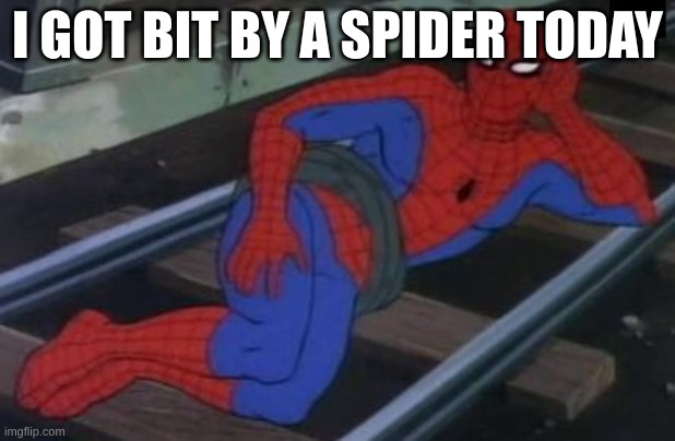 Sexy Railroad Spiderman | I GOT BIT BY A SPIDER TODAY | image tagged in memes,sexy railroad spiderman,spiderman | made w/ Imgflip meme maker
