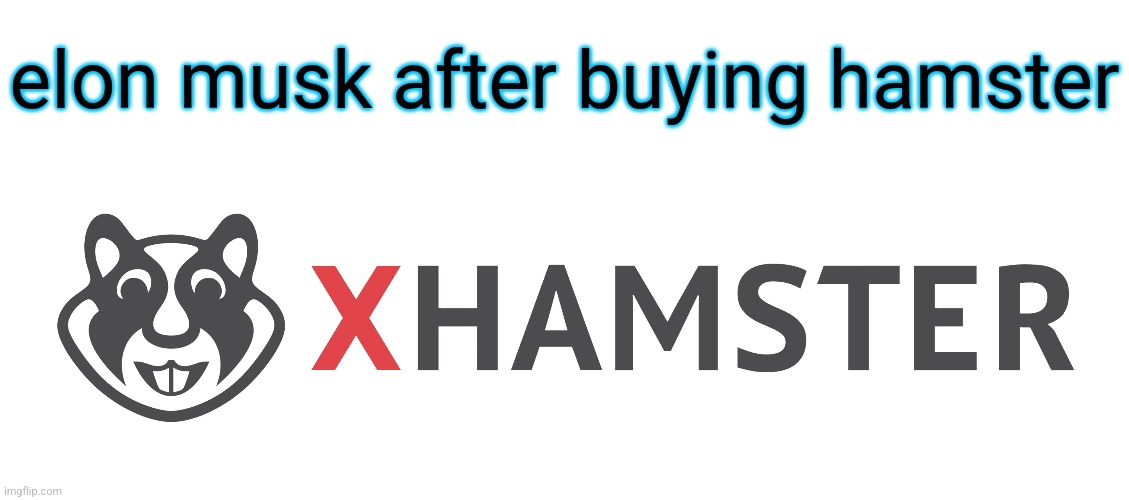 elon musk after buying hamster | made w/ Imgflip meme maker