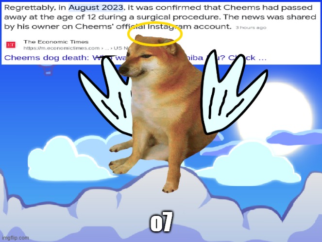 RIP | o7 | image tagged in rip cheems help spread the word | made w/ Imgflip meme maker