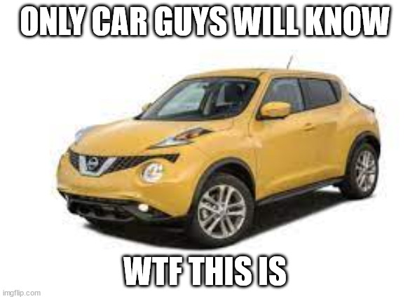 For car guys | ONLY CAR GUYS WILL KNOW; WTF THIS IS | image tagged in nissan juke | made w/ Imgflip meme maker