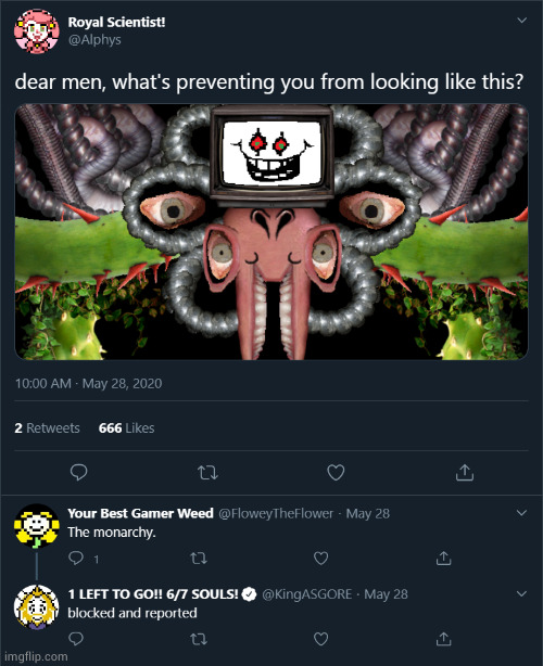 made w/ Imgflip meme maker