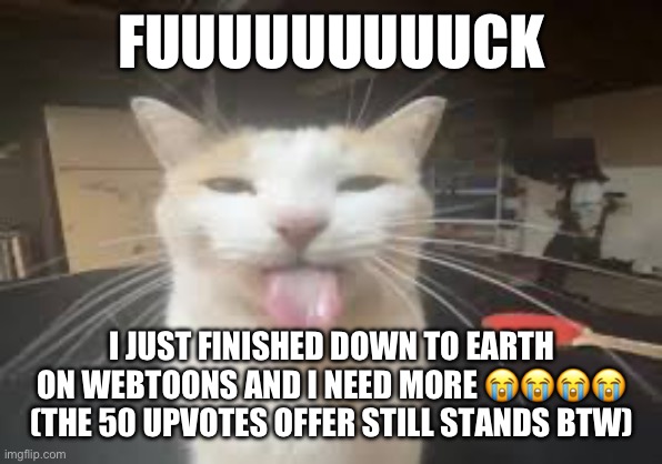 Cat | FUUUUUUUUUCK; I JUST FINISHED DOWN TO EARTH ON WEBTOONS AND I NEED MORE 😭😭😭😭 (THE 50 UPVOTES OFFER STILL STANDS BTW) | image tagged in cat | made w/ Imgflip meme maker