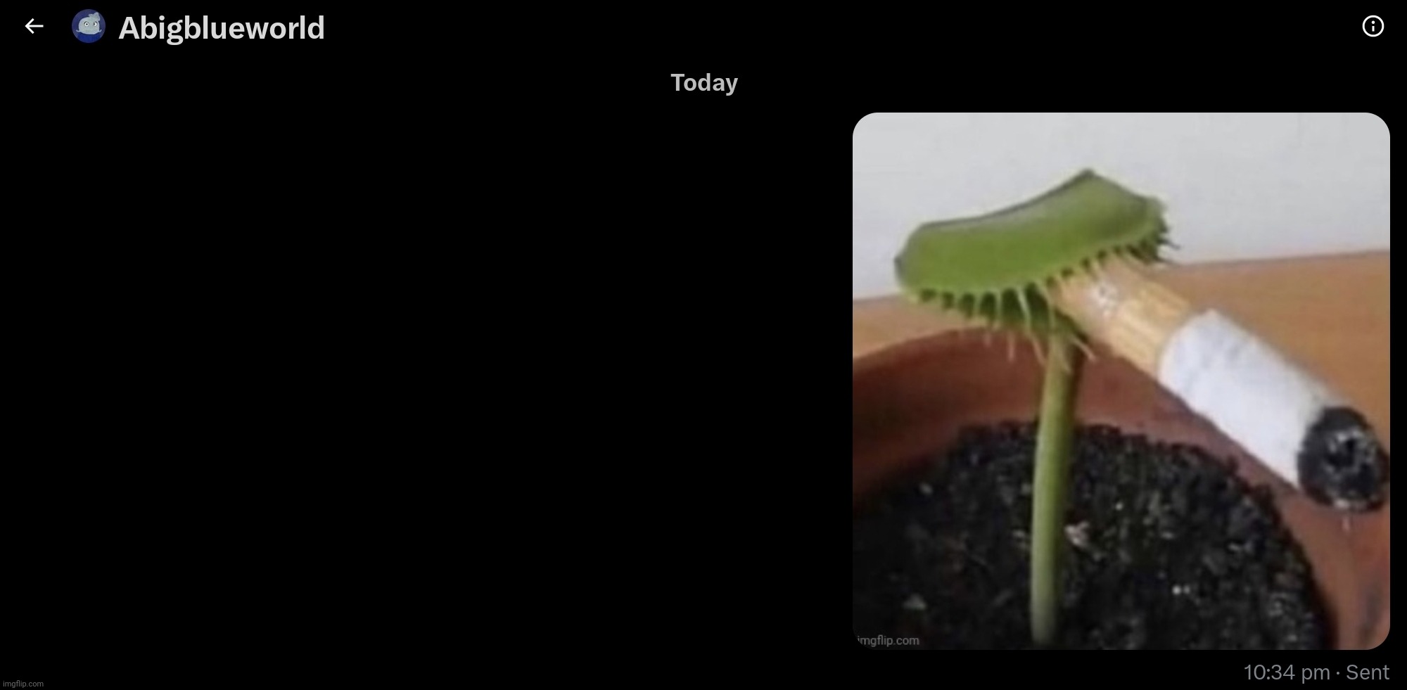 Normalcore DMS blue a plant smoking a cigarette | image tagged in normalcore dms blue a plant smoking a cigarette | made w/ Imgflip meme maker