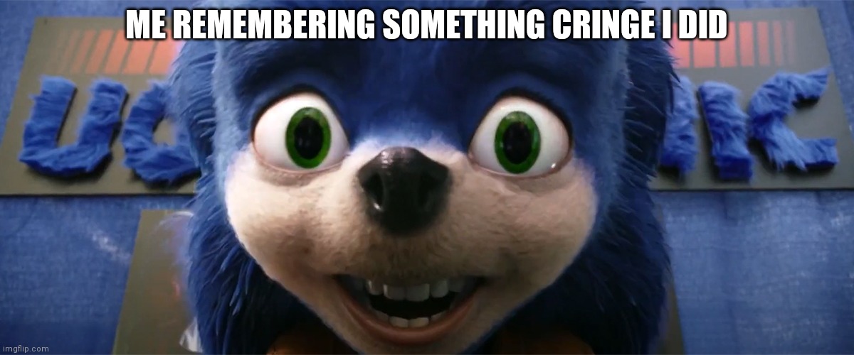 Ugly Sonic Staring at You | ME REMEMBERING SOMETHING CRINGE I DID | image tagged in ugly sonic staring at you | made w/ Imgflip meme maker