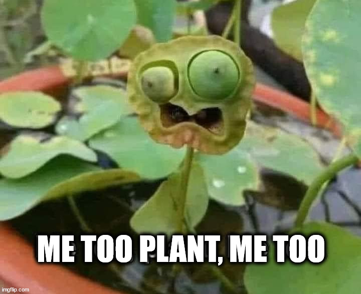 ME TOO PLANT, ME TOO | made w/ Imgflip meme maker