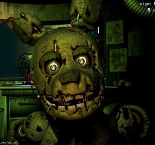 Spring trap jump scare image | image tagged in spring trap jump scare image | made w/ Imgflip meme maker