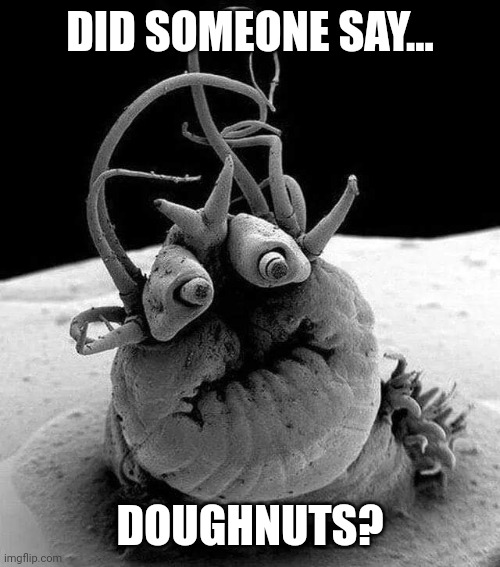 Doughnuts | DID SOMEONE SAY... DOUGHNUTS? | image tagged in worm,doughnuts,fat | made w/ Imgflip meme maker