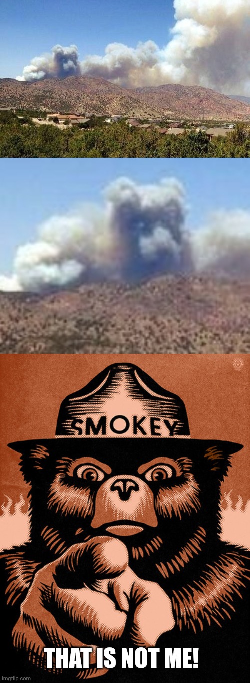 SMOKY PREVENTS FIRES | THAT IS NOT ME! | image tagged in smoky the bear,forest fire,fire,smoke | made w/ Imgflip meme maker