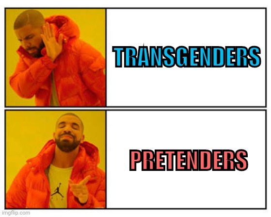 Playing pretend. | TRANSGENDERS; PRETENDERS | image tagged in no - yes | made w/ Imgflip meme maker
