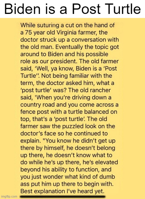 Now You Know | Biden is a Post Turtle; ________________ | image tagged in politics,joe biden,post turtle,political humor,true,lol | made w/ Imgflip meme maker
