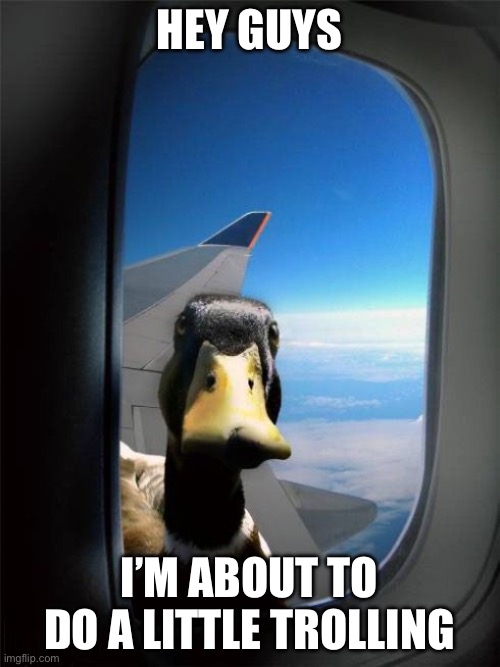 Duck trolling | HEY GUYS; I’M ABOUT TO DO A LITTLE TROLLING | image tagged in let me in duck,trolling | made w/ Imgflip meme maker