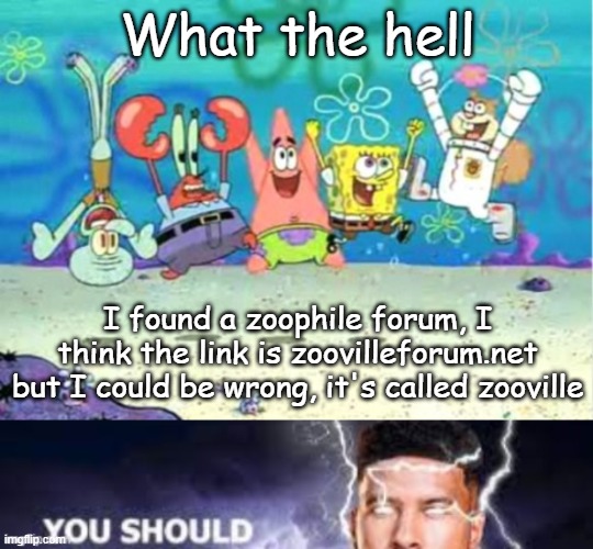 What the hell; I found a zoophile forum, I think the link is zoovilleforum.net but I could be wrong, it's called zooville | image tagged in hip hip hooray,hey you | made w/ Imgflip meme maker