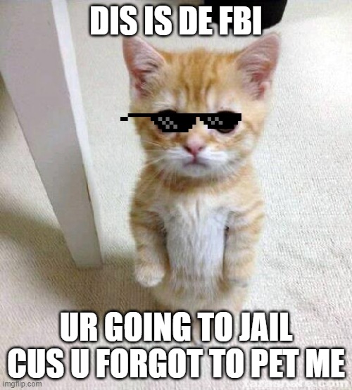 Cute Cat | DIS IS DE FBI; UR GOING TO JAIL CUS U FORGOT TO PET ME | image tagged in memes,cute cat | made w/ Imgflip meme maker