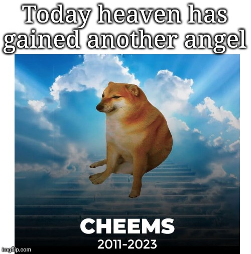R.I.P Cheems | Today heaven has gained another angel | image tagged in sad | made w/ Imgflip meme maker