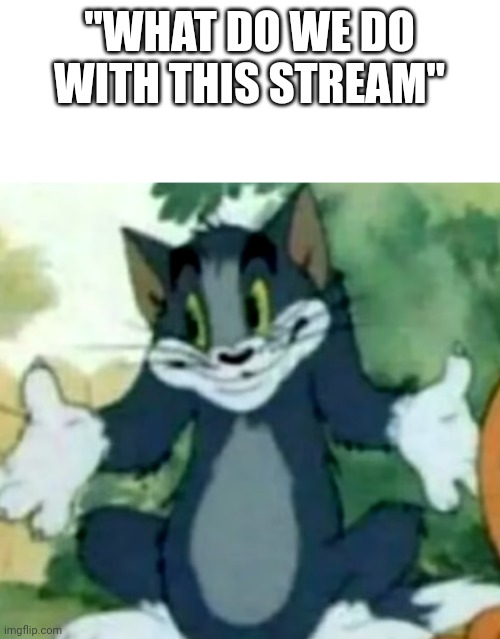 Shrugging Tom | "WHAT DO WE DO WITH THIS STREAM" | image tagged in shrugging tom | made w/ Imgflip meme maker