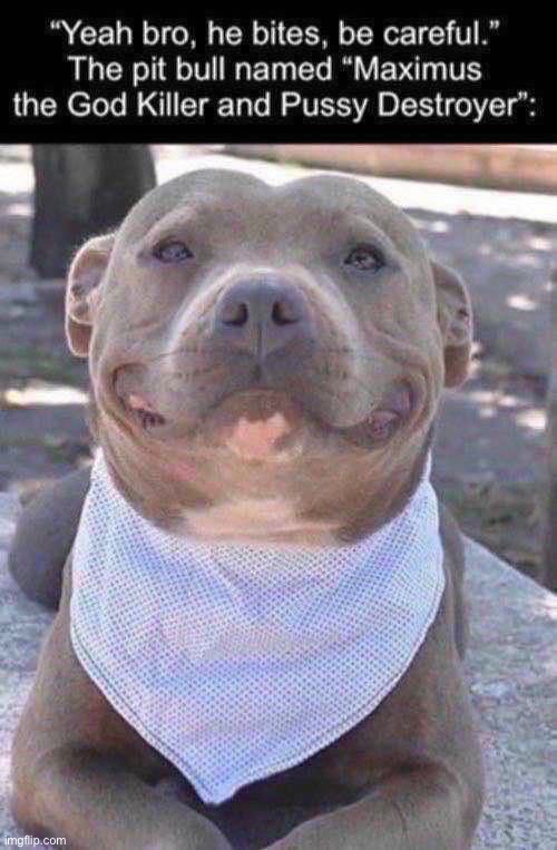 . | made w/ Imgflip meme maker