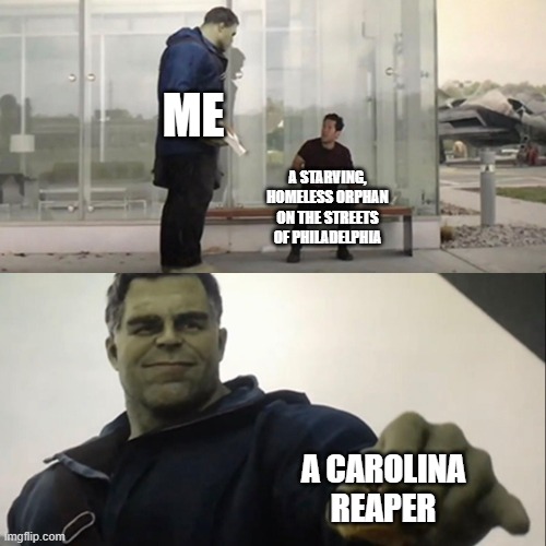 not all heroes wear capes | ME; A STARVING, HOMELESS ORPHAN ON THE STREETS OF PHILADELPHIA; A CAROLINA REAPER | image tagged in hulk taco | made w/ Imgflip meme maker