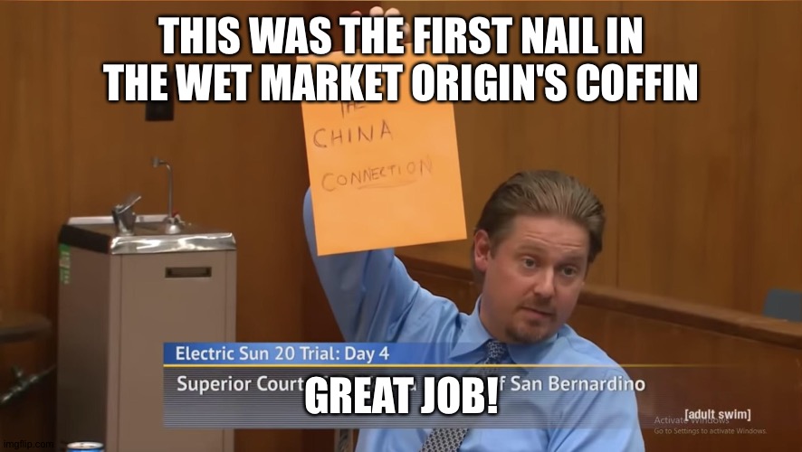 The China Connection | THIS WAS THE FIRST NAIL IN THE WET MARKET ORIGIN'S COFFIN; GREAT JOB! | image tagged in covid-19 | made w/ Imgflip meme maker