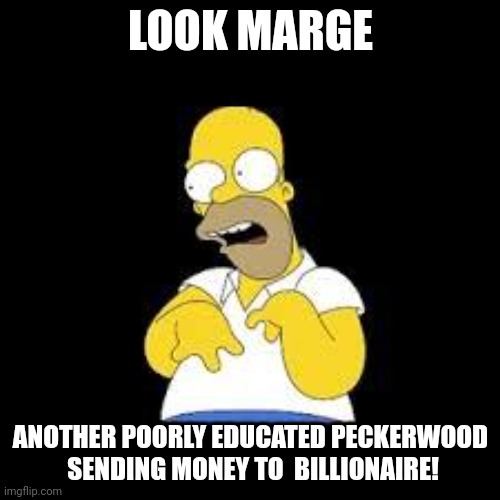 peckerwood | LOOK MARGE; ANOTHER POORLY EDUCATED PECKERWOOD  SENDING MONEY TO  BILLIONAIRE! | image tagged in look marge,moron | made w/ Imgflip meme maker