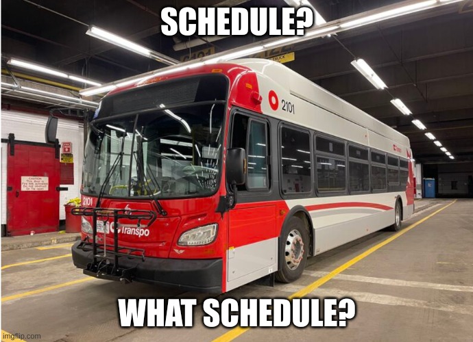 OC Transpo | SCHEDULE? WHAT SCHEDULE? | image tagged in oc transpo meme | made w/ Imgflip meme maker