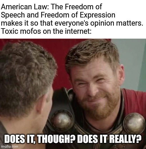 Does this count as related to politics? | American Law: The Freedom of Speech and Freedom of Expression makes it so that everyone's opinion matters.
Toxic mofos on the internet:; DOES IT, THOUGH? DOES IT REALLY? | image tagged in should it though,law,america,memes | made w/ Imgflip meme maker