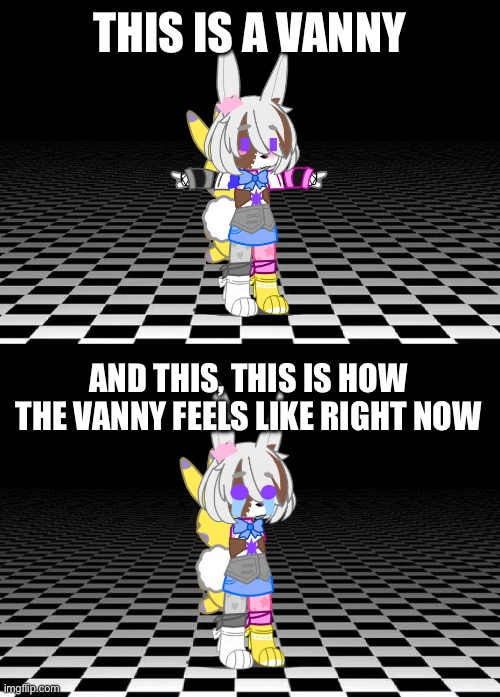 This is because my arms are sunburned and I cant really mov them without them hurting. | THIS IS A VANNY; AND THIS, THIS IS HOW THE VANNY FEELS LIKE RIGHT NOW | image tagged in help me | made w/ Imgflip meme maker