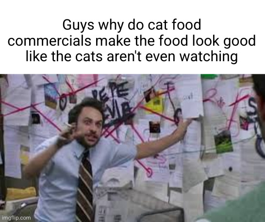 that cat food be strait bussin | Guys why do cat food commercials make the food look good like the cats aren't even watching | image tagged in charlie explaining,cat food,cats,so true,funny,shower thoughts | made w/ Imgflip meme maker