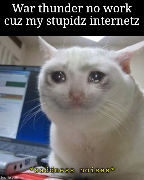 WiFi doesn't help either nor does vpn | War thunder no work cuz my stupidz internetz; *saddness noises* | image tagged in crying cat | made w/ Imgflip meme maker